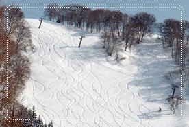 野沢温泉スキー場公式HP